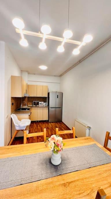 Otopeni Airport Apartment With Private Garden Eksteriør billede