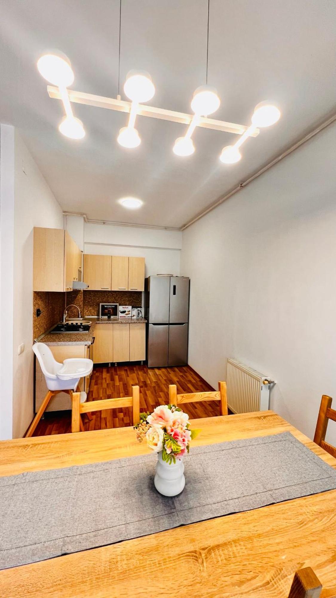 Otopeni Airport Apartment With Private Garden Eksteriør billede